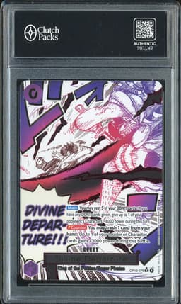 One Piece Divine Departure #OP13-076 Carrying On His Will R