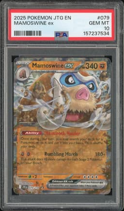 2025 Pokemon Journey Together Mamoswine ex #079 PSA 10