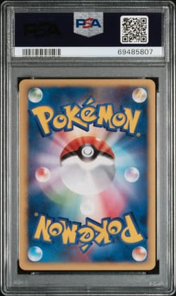 POKEMON PAL CITY