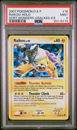 #16 RAIKOU-HOLO