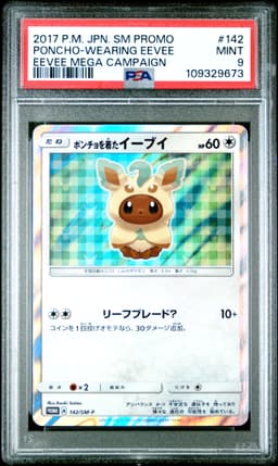 #142 PONCHO-WEARING EEVEE