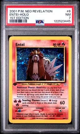 #6 ENTEI-HOLO