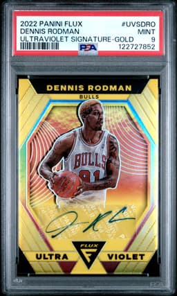 #UVSDRO DENNIS RODMAN