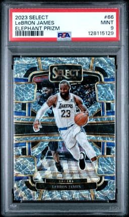 #66 LeBRON JAMES