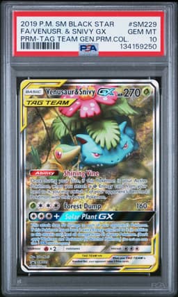 #SM229 FULL ART/VENUSAUR & SNIVY GX