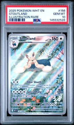 #156 STOUTLAND