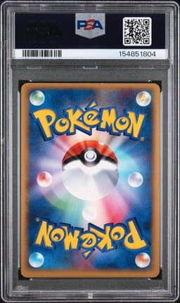#004 POKEPARK'S PIKACHU-HOLO