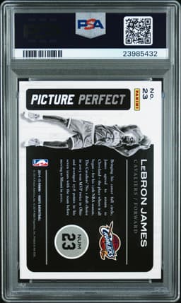 #23 LeBRON JAMES