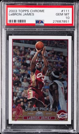 #111 LeBRON JAMES