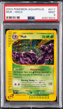 #H17 MUK-HOLO