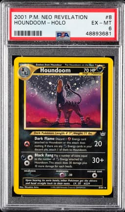 #8 HOUNDOOM-HOLO