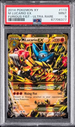 #113 M LUCARIO EX