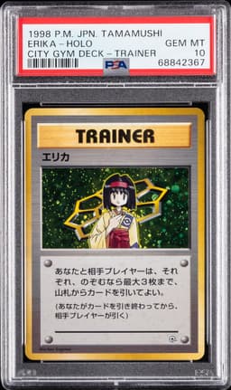 ERIKA-HOLO