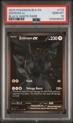 2025 #172 Zekrom EX PSA 10 Blk EN-Black Bolt Pokemon