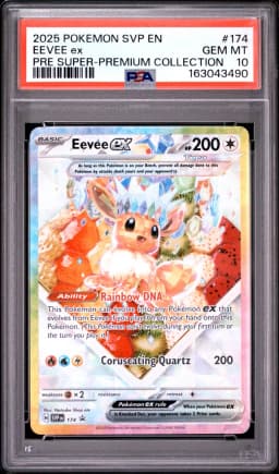 2025 #174 Eevee EX PSA 10 Svp EN-SV Black Star Promo