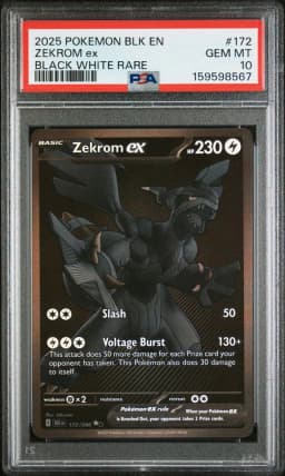 2025 #172 Zekrom EX PSA 10 Blk EN-Black Bolt
