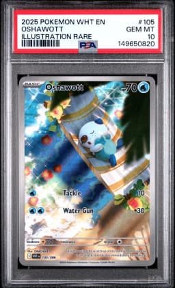 2025 #105 Oshawott PSA 10 Wht EN-White Flare