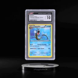 2013 Pokemon Black and White Leg