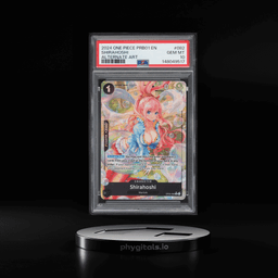 2024 One Piece Premium The Best