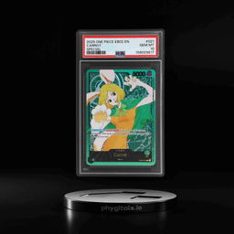 2025 One Piece Extra Booster Ani