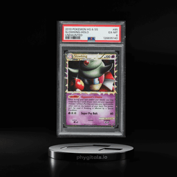 2010 Pokemon HeartGold & SoulSil