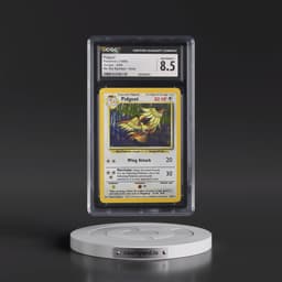 1999 Jungle #8/64 Pidgeot - No Set Symbol Holo (CGC 8.5 NM-MT+)