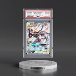 2019 Pokémon SM Black Star Promo #SM168 Pikachu & Zekrom GX - Holo Full Art Tag Team Tins (PSA 10 GEM MINT)
