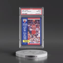 1991 Fleer #375 Michael Jordan (PSA 10 GEM MINT)