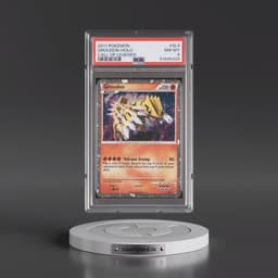 2011 Pokémon Call of Legends #SL4 Groudon - Holo (PSA 8 NM-MT)