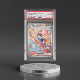2024 Pokémon Twm EN-Twilight Masquerade #214 Greninja EX - Holo Special Illustration Rare (PSA 10 GEM MINT)