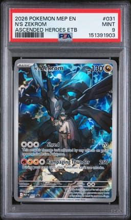 N's Zekrom