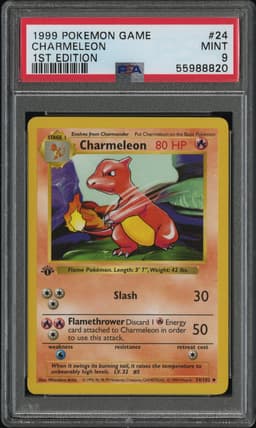 #24 CHARMELEON