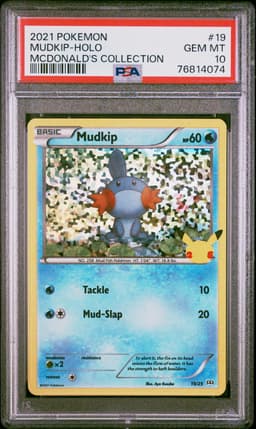 #19 MUDKIP-HOLO