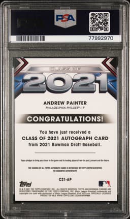 #C21AP ANDREW PAINTER