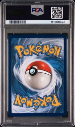 #242 FULL ART/MEWTWO & MEW GX