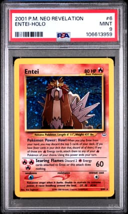 #6 ENTEI-HOLO