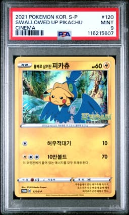 #120 SWALLOWED UP PIKACHU