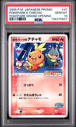 #47 POKEPARK'S TORCHIC