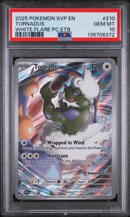 #210 TORNADUS
