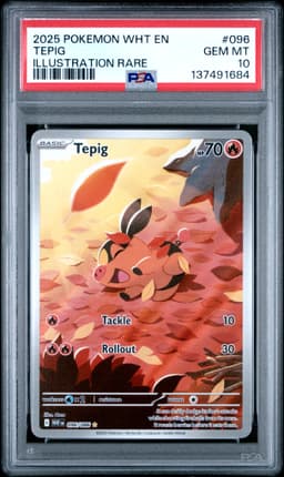 #096 TEPIG
