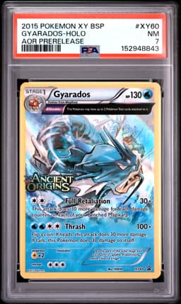 #XY60 GYARADOS-HOLO