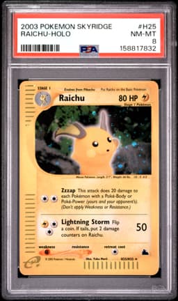 #H25 RAICHU-HOLO
