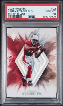 #22 LARRY FITZGERALD