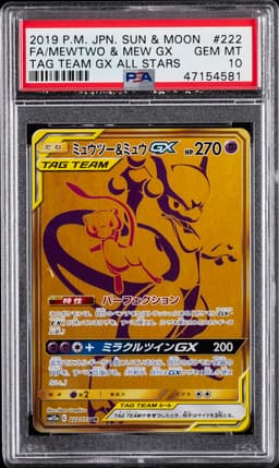 #222 FULL ART/MEWTWO & MEW GX