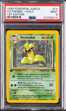 #14 VICTREEBEL-HOLO