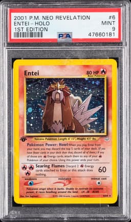 #6 ENTEI-HOLO