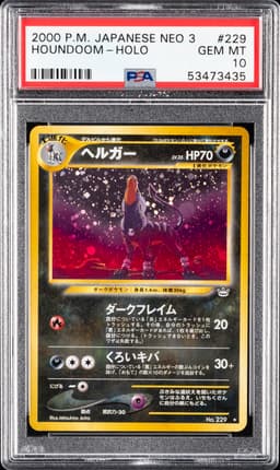 #229 HOUNDOOM-HOLO