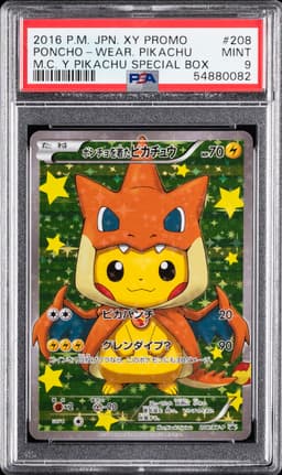 #208 PONCHO-WEARING PIKACHU