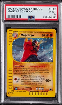 #H17 MAGCARGO-HOLO