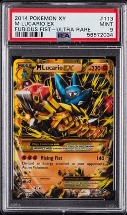 #113 M LUCARIO EX